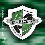 TSV Hannover-Burgdorf - SG Flensburg-Handewitt