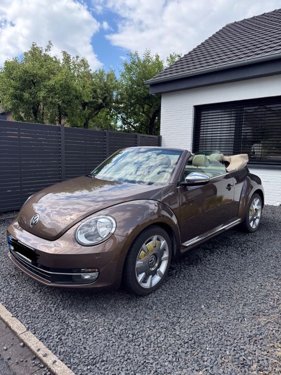 Beetle