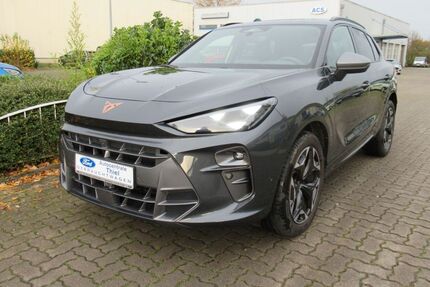 Cupra Terramar 17.500 km 34.950 € Ascheberg 59387