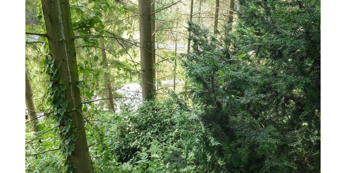 Grundstück Menden Asbeck - 48.000&euro; | Angebot:26119388