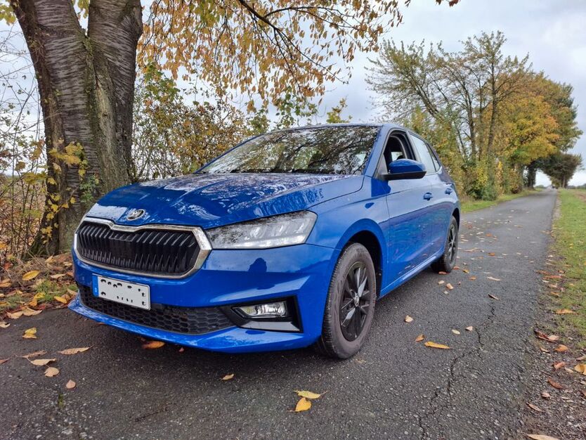 Skoda Fabia 29.097 km 16.900 € Soest 59494