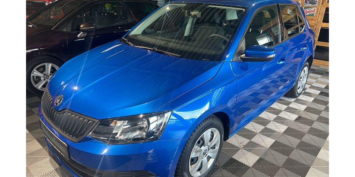 Skoda Fabia 9.980 km 8.990 € Hamm 59073