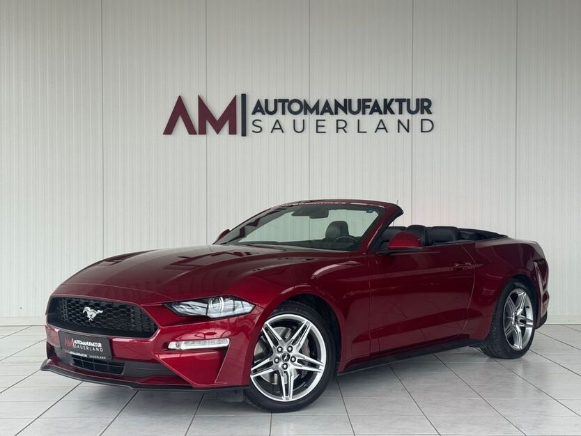 Mustang