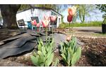Einfamilienhaus Bad Sassendorf - 956.000&euro; | Angebot:26002958