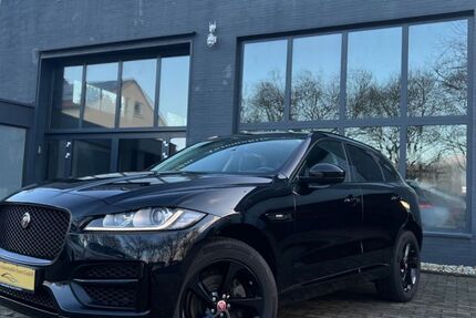 Jaguar F-Pace 88.550 km 24.990 € Soest 59494