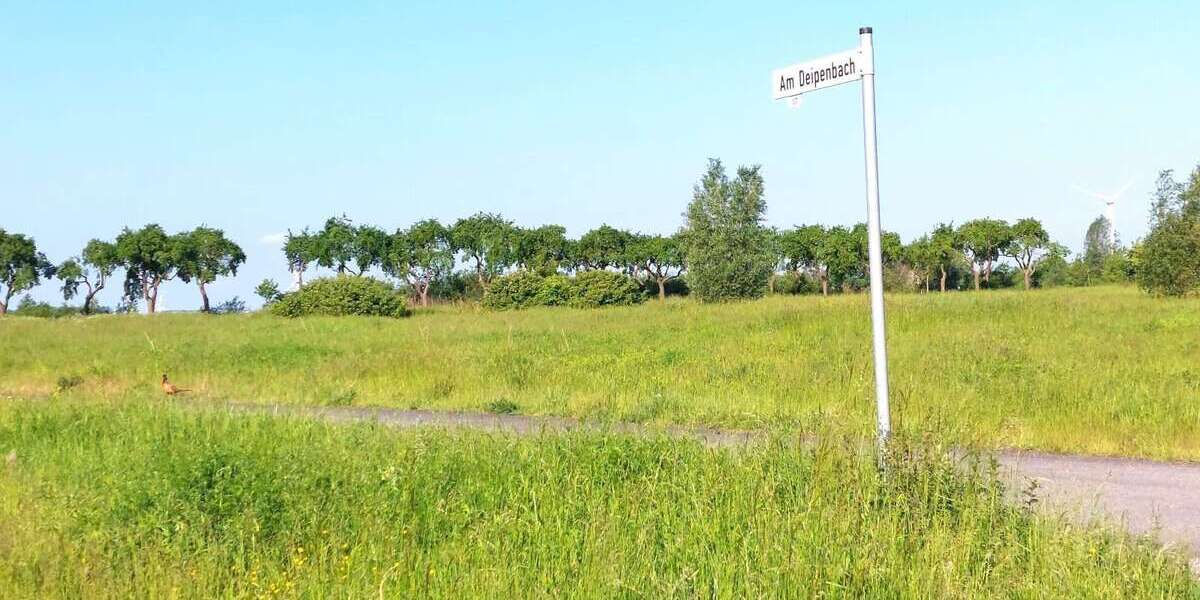 Grundstück zu verkaufen in Beckum 224.730 € 681 m² zimmer