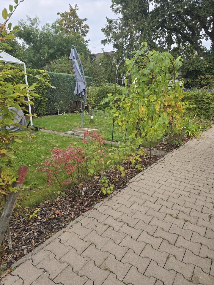 Moderne DG-Wohnung mit Garten im Energieeffizienzhaus (KfW 55) zimmer