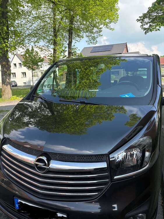 Vivaro