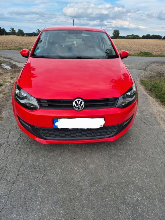 Polo