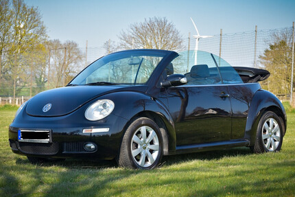 VW Beetle