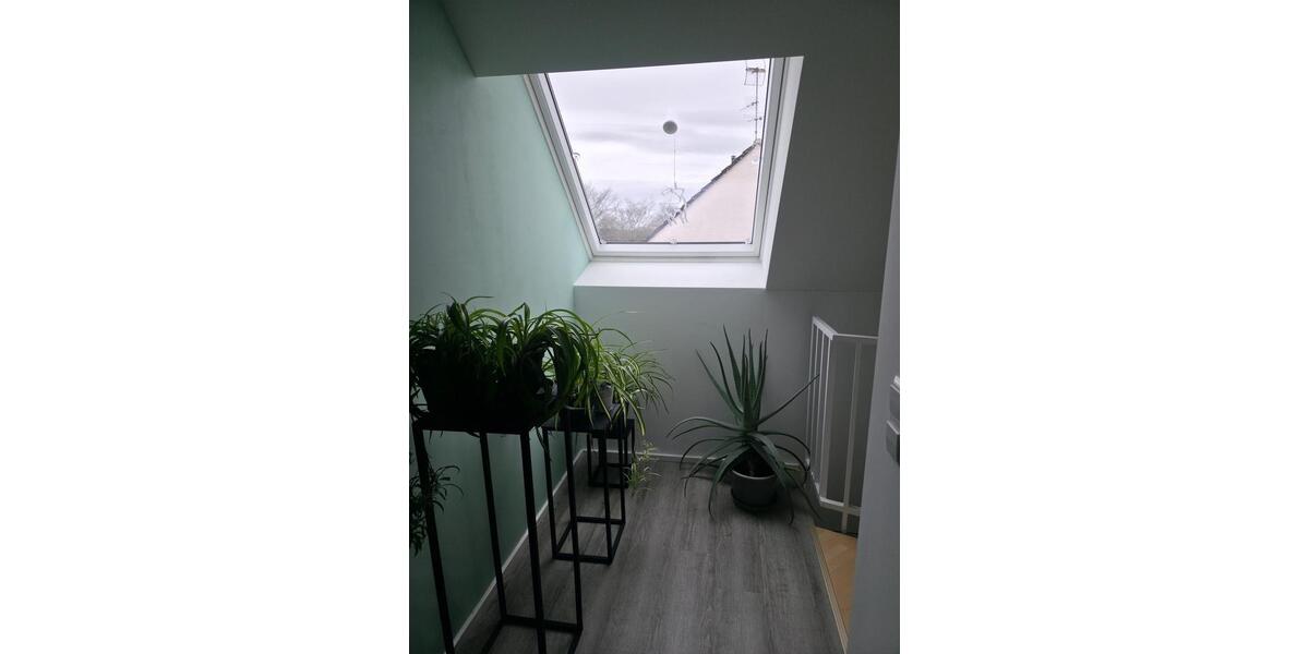 Moderne 4-Zimmer-Wohnung in Hamm Herrringen 4 zimmer