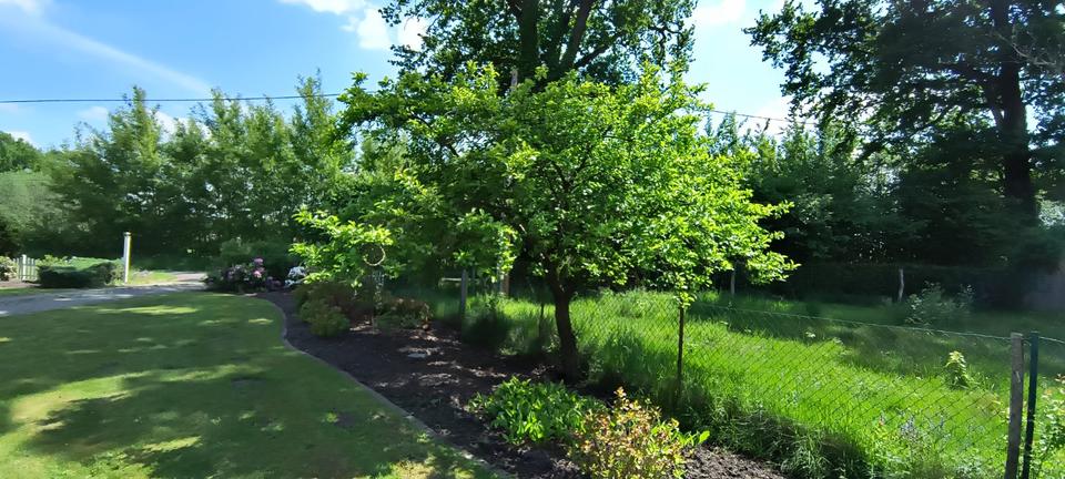 Einfamilienhaus Ennigerloh - 10 Zimmer, 250 m&sup2;, 650.000&euro; | Angebot:25380800