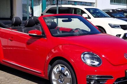VW Beetle