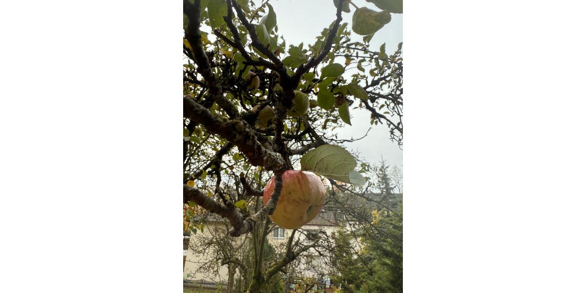 Charmantes Reihenmittelhaus in Menden inkl. 556 m² Grundstück 6 zimmer