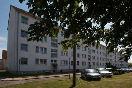 Wohnung zum Mieten in Gardelegen 320 € 56.61 m²