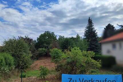 Grundstück zu verkaufen in Quedlinburg 135.000 € 997 m²