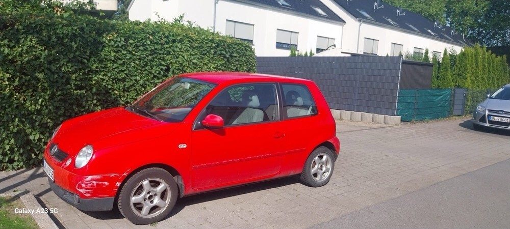 Lupo