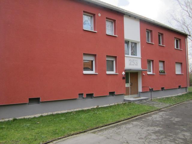 3 Zimmer Wohnung am Revierpark Wischlingen zimmer