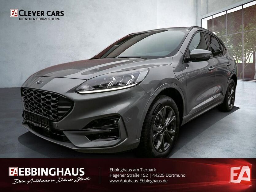 Kuga