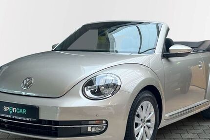 VW Beetle