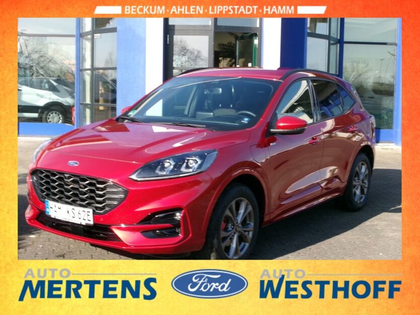 Kuga