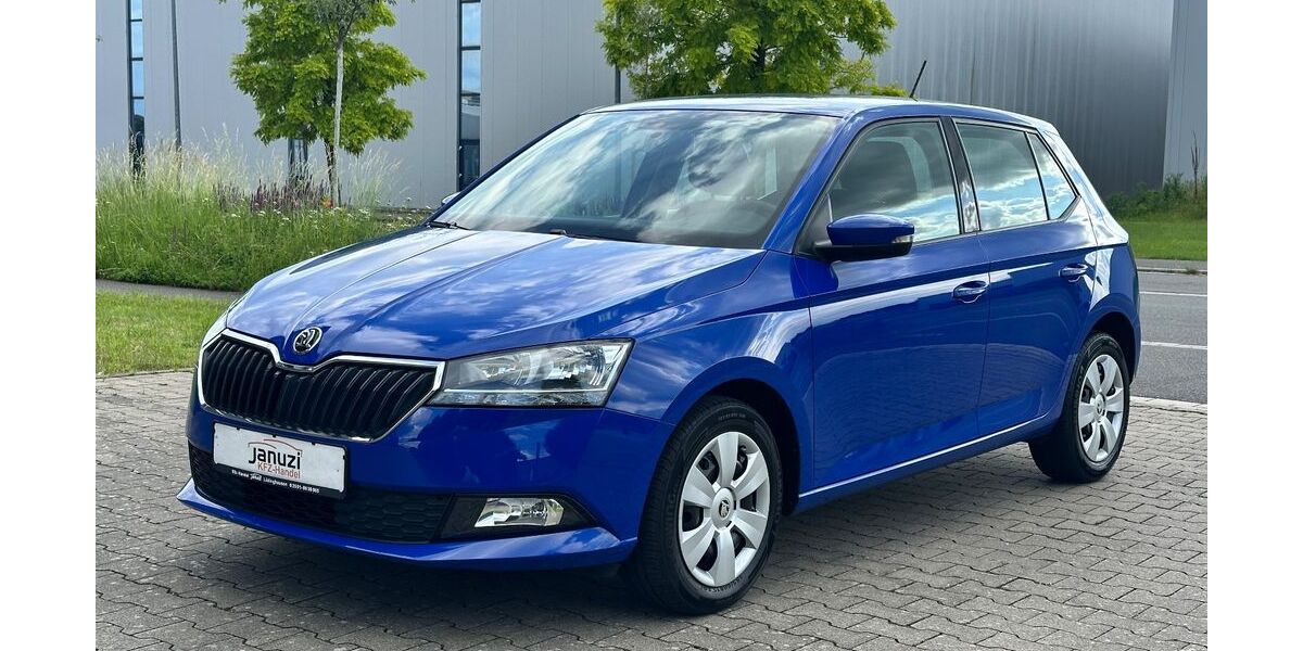 Skoda Fabia 91.146 km 7.650 &euro; Lüdinghausen 59348
