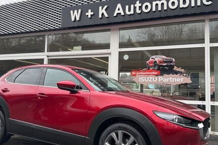Mazda CX-30 1.900 km 31.950 &euro; Kamen 59174
