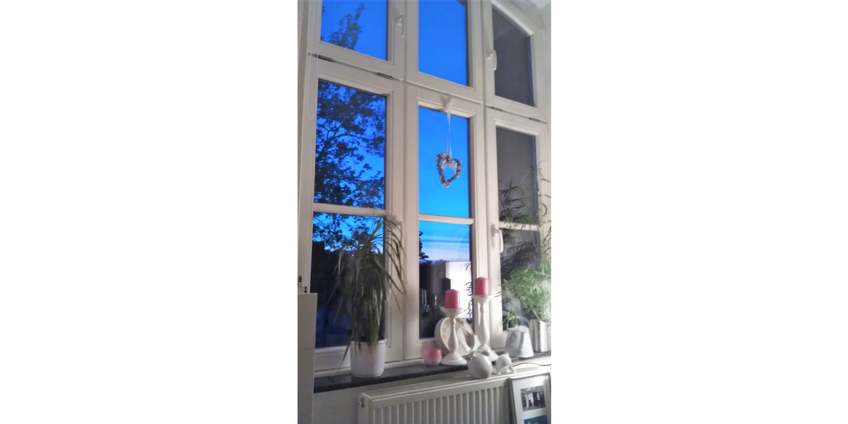 Etagenwohnung Zentrum - 1 Zimmer, 20 m&sup2;, 370&euro; | Angebot:24331040