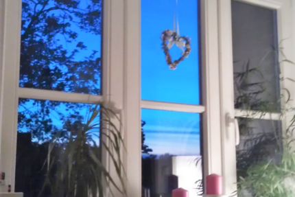 Wohnung Zentrum - 1 Zimmer, 20 m&sup2;, 370&euro; | Angebot:24331040