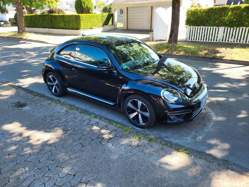 Beetle