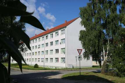 Wohnung zum Mieten in Gardelegen 320 € 56.61 m²