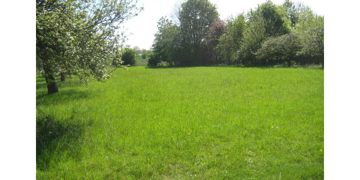 Mehrfamilienhaus, Wohnhaus Ahlen - 11 Zimmer, 185 m&sup2;, 425.000&euro; | Angebot:26322239